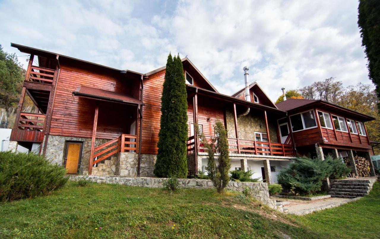 Casa Domneasca Vila Baia de Fier Exterior foto