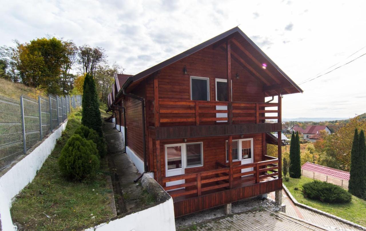 Casa Domneasca Vila Baia de Fier Exterior foto