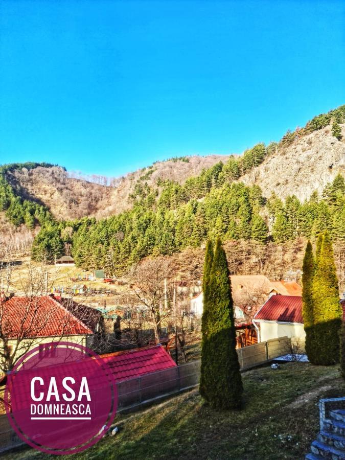 Casa Domneasca Vila Baia de Fier Exterior foto