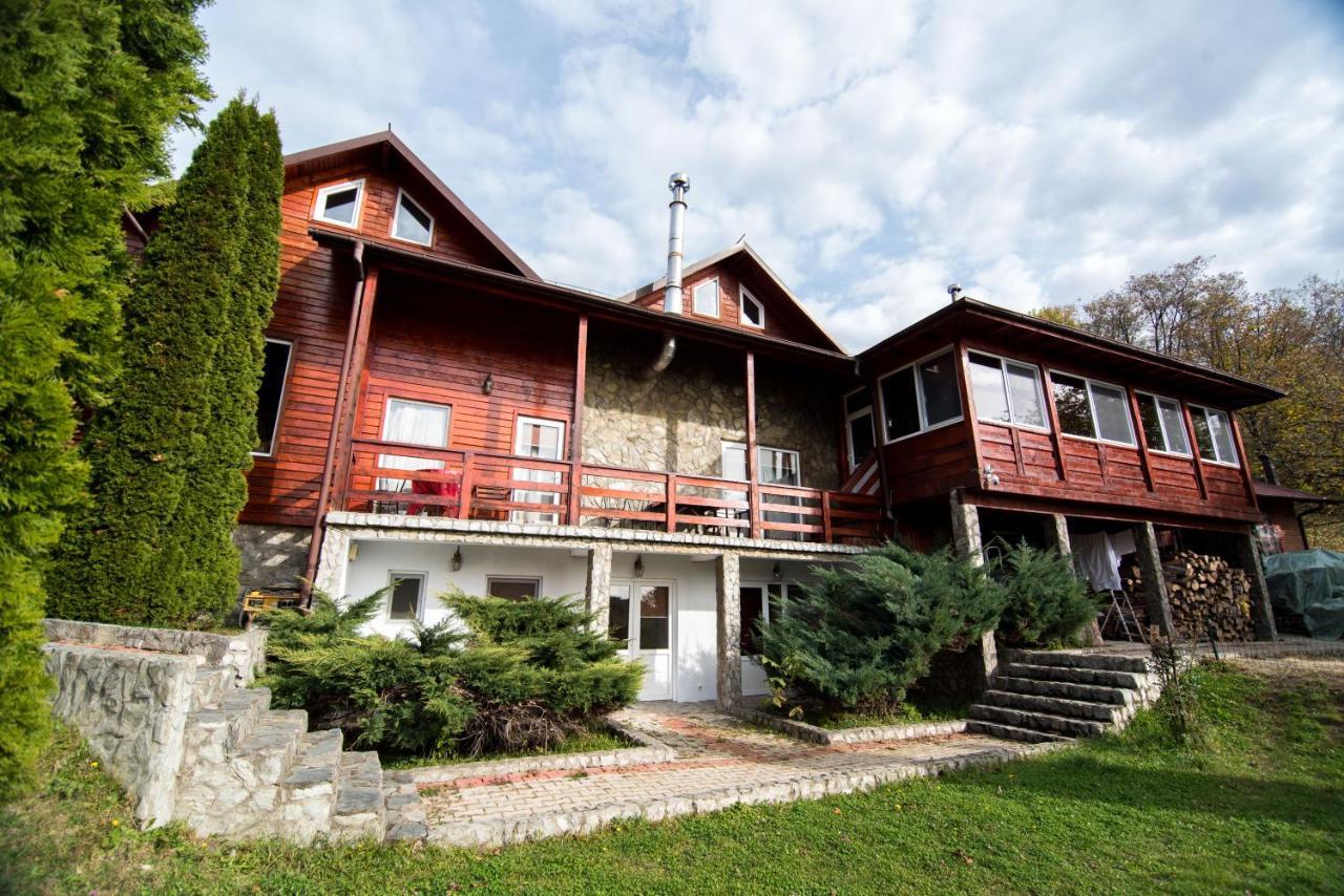 Casa Domneasca Vila Baia de Fier Exterior foto