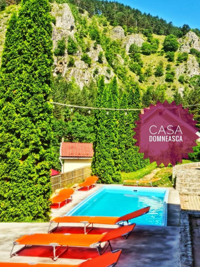 Casa Domneasca Vila Baia de Fier Exterior foto