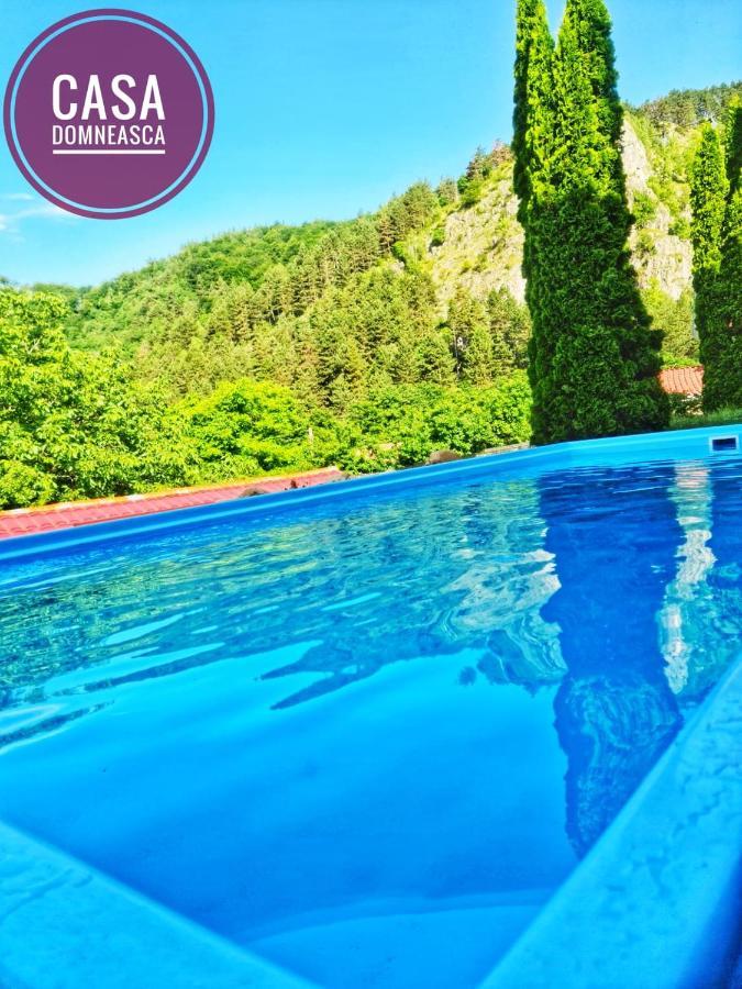 Casa Domneasca Vila Baia de Fier Exterior foto